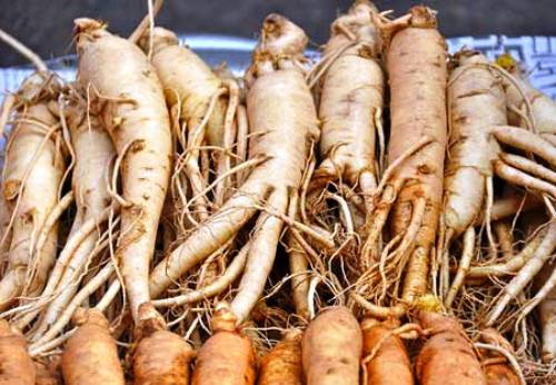 tốt cho sức khỏe hay