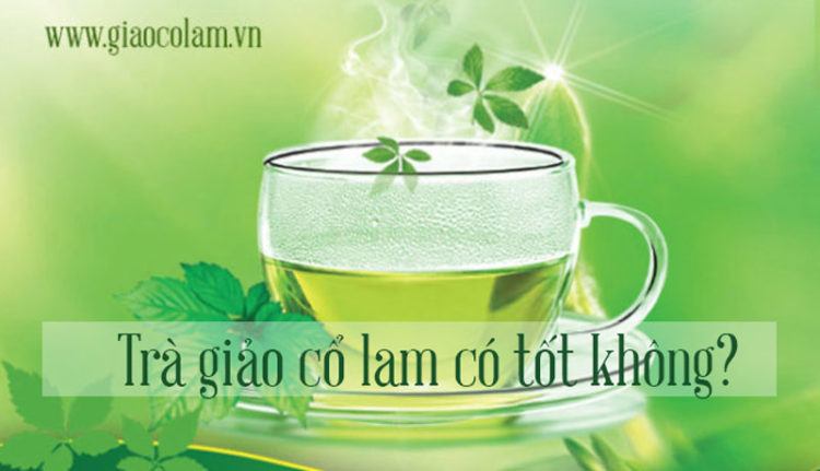 Uống giảo cổ lam thường xuyên có tốt không? - Giaocolam.vn