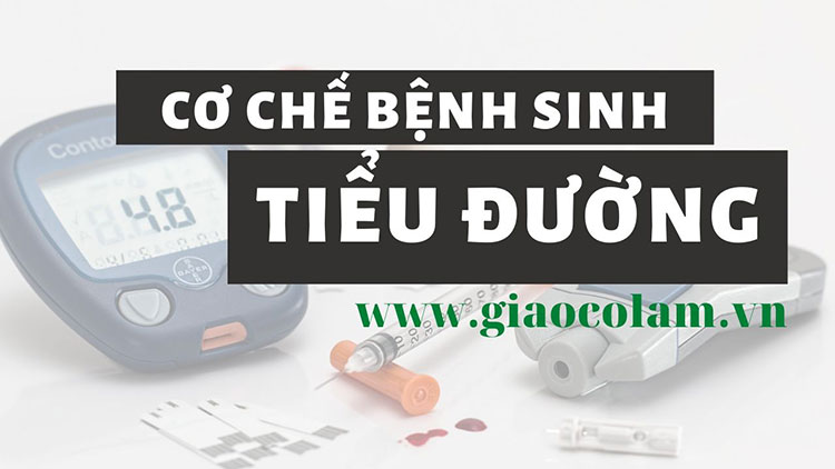 co-che-benh-sinh-tieu-duong