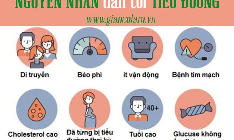 Nguyên nhân dẫn tới bệnh tiểu đường