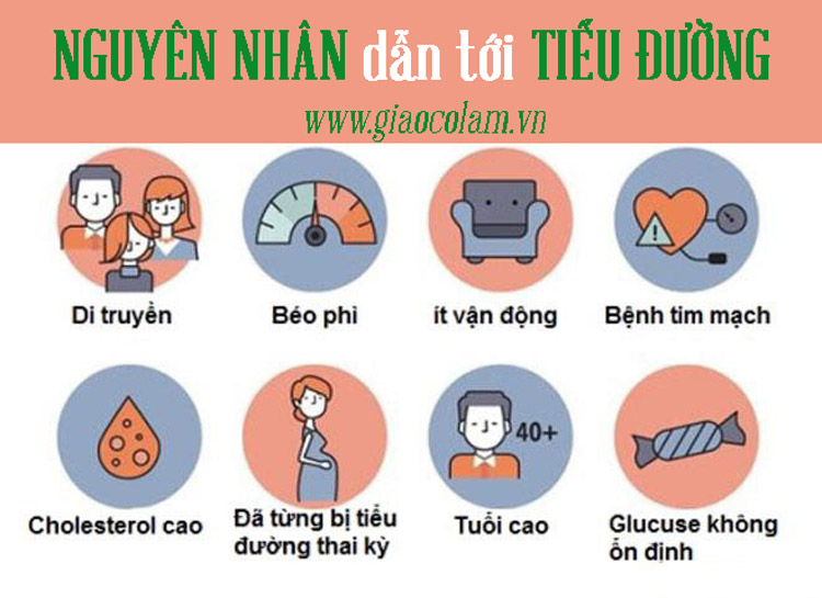 Nguyên nhân dẫn tới bệnh tiểu đường