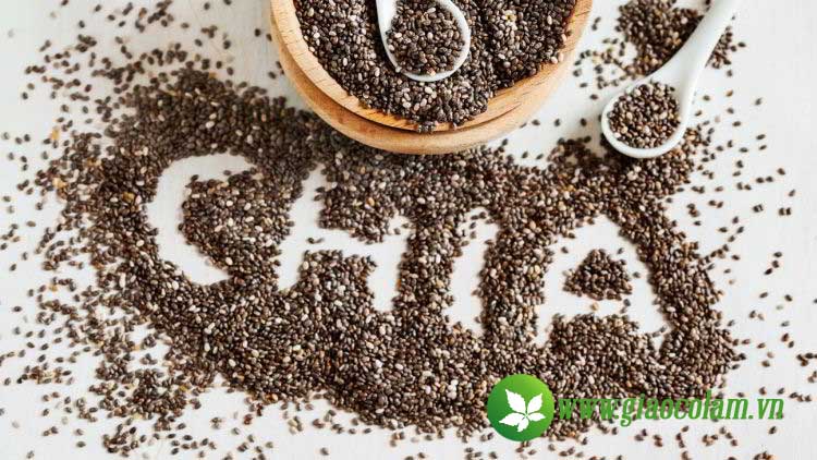 hat-chia