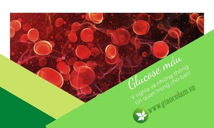 glucose-mau