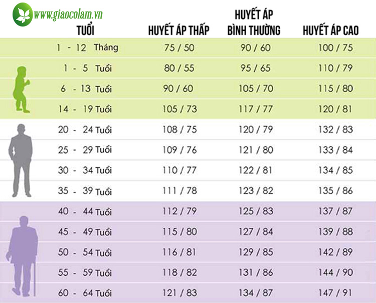 Bảng chỉ số huyết áp chuẩn theo WHO