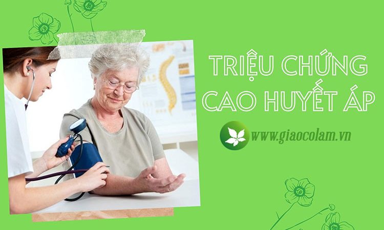 trieu-chung-cao-huyet-ap