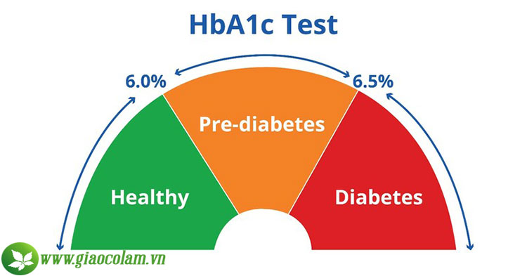 y-nghia-cua-hb1c