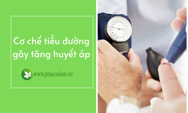 tieu-duong-gay-tang-huyet-ap