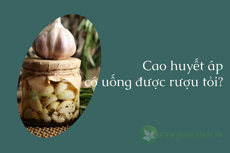 cao huyết áp có uống được rượu tỏi không?