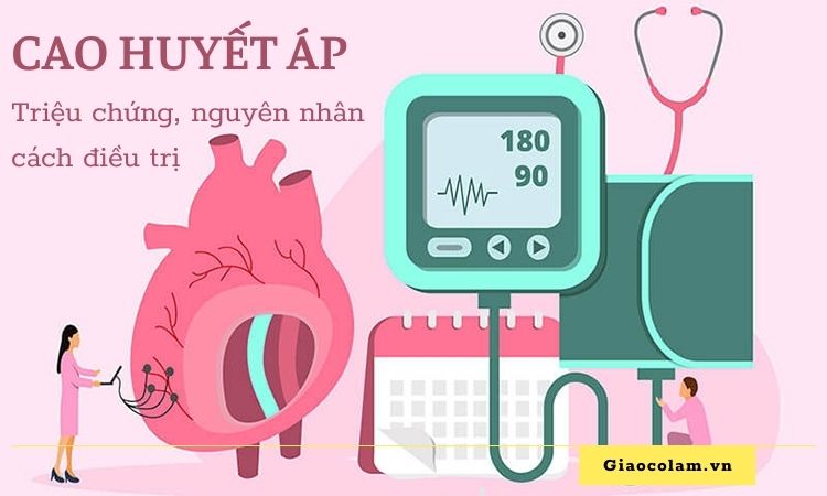 Cao huyết áp – triệu chứng, nguyên nhân, cách điều trị