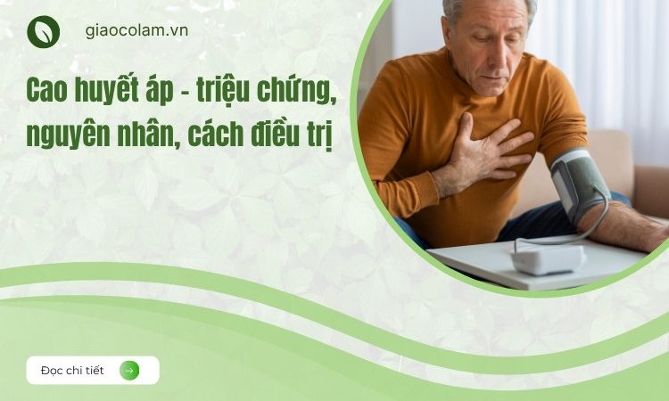 Cao huyết áp – triệu chứng, nguyên nhân, cách điều trị